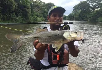 Tenorio River Fishing Costa Rica