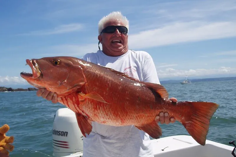 Bottom Fishing Costa Rica