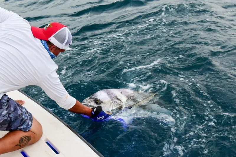 Bottom Fishing Costa Rica