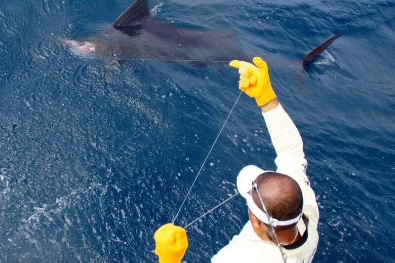 Offshore Fishing Costa Rica