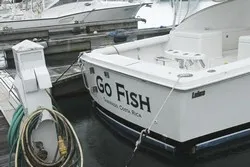 Go Fish Fishing Los Suenos
