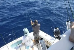 La Patrona Marlin Fishing