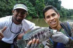 Mangrove Fishing Jaco