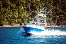 Sportfishing Dream Maker Jaco