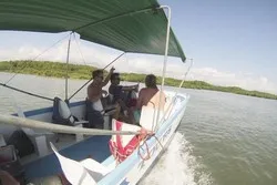 Mangrove Fishing Quepos