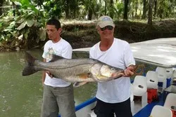 Mangrove Fishing Quepos