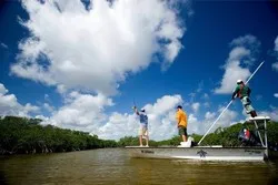 Mangrove Fishing Quepos
