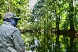 Mangrove Fishing Sierpe
